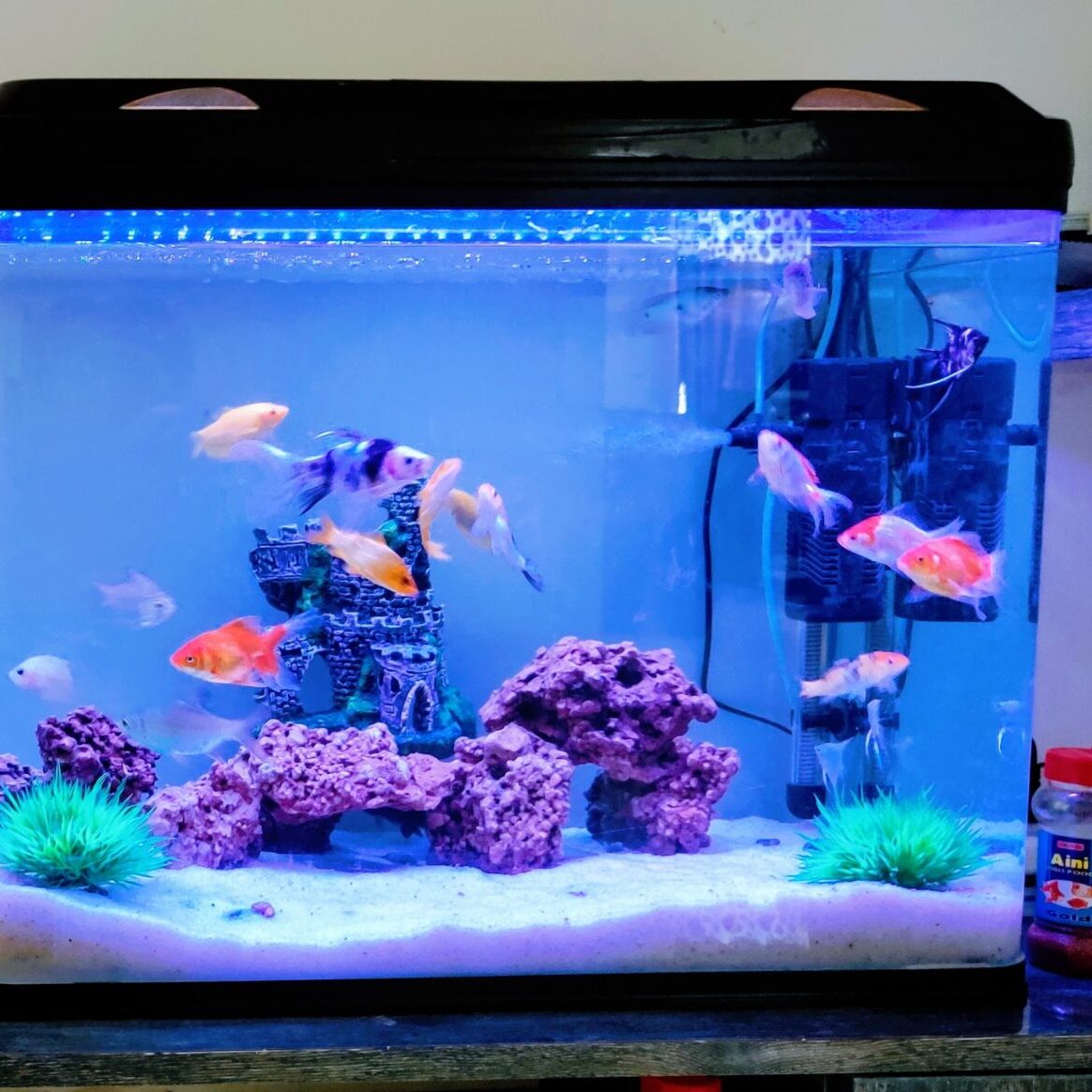 aquarium filter